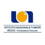 Istituto Tumori Napoli Irccs Fondazione G.Pascale